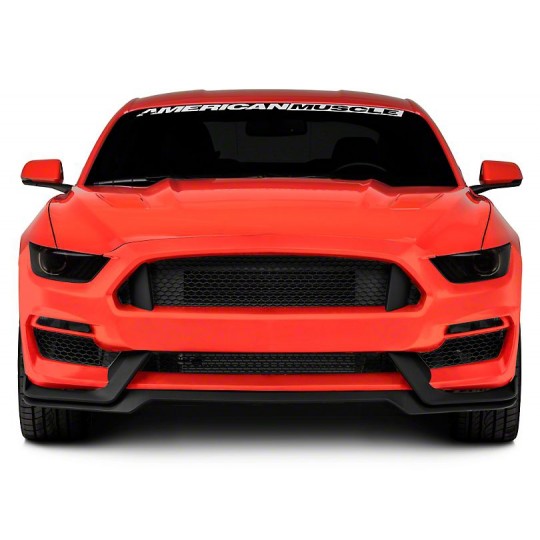 GT350 Style Frontstoßstange - (FORD MUSTANG 2015-2017 EcoBoost, V6, GT)