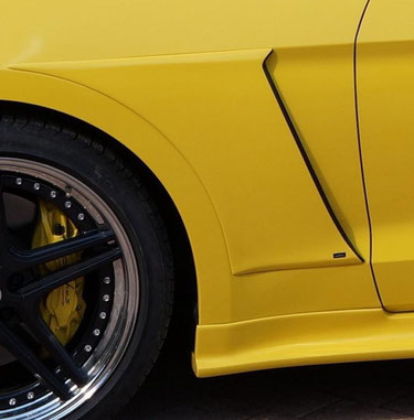 Ford Mustang ab 2015 Kotflügelaufsatz Abbes mit Tüv