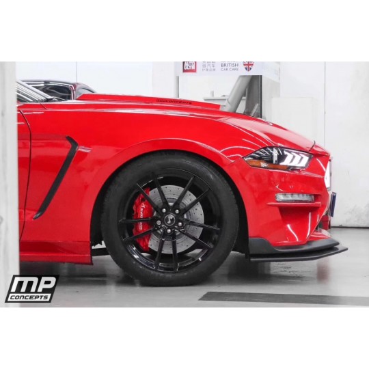 GT350 STYLE Kotflügel- ALUMINUM (MUSTANG 2018-2021 GT, ECOBOOST)